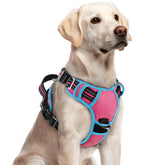 Arnés Rabbitgoo para perro grande en rosa y azul, fácil de colocar en segundos
