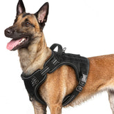 Arnés Rabbitgoo para perros grandes con enfoque frontal para evitar tirones.