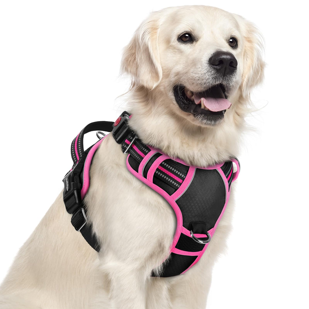 Arnés Rabbitgoo para perros grandes sin tirón y 3 hebillas para ajuste rápido.