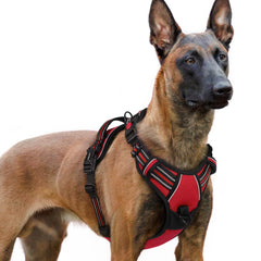 Arnés Rabbitgoo para perros grandes, sin tirones, con tres cierres para ajuste seguro.