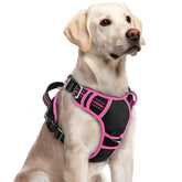 Arnés Rabbitgoo para perros grandes con tres hebillas, manejo sin tirones para paseos