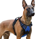 Arnés Rabbitgoo para perro grande con tres hebillas y ajuste seguro para paseos diarios.