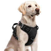 Arnés Rabbitgoo para perros grandes, tres hebillas para colocar rápidamente durante paseos.