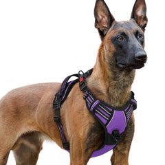 Arnés Rabbitgoo para perro grande con tres hebillas, ajuste seguro
