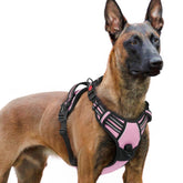 Arnés Rabbitgoo para perro grande con tres hebillas, fácil de colocar y quitar