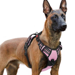 Arnés Rabbitgoo para perro grande con tres hebillas, fácil de colocar y quitar