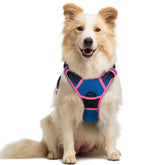 Arnés Rabbitgoo para perro mediano en azul y rosa con dos anillos para correa.