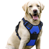 Rabbitgoo arnés para perro nylon reflectante para paseos nocturnos seguros