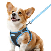 rabbitgoo arnés para perro con paso de entrada y ajuste cómodo