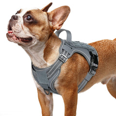 rabbitgoo arnés para perro pequeño con ajuste rápido para paseos seguros