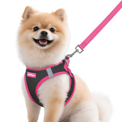 Arnés Rabbitgoo para perros pequeños, vista frontal, ajuste cómodo para paseo diario.