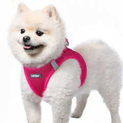 Arnés rabbitgoo para perro pequeño con malla suave, comodidad diaria