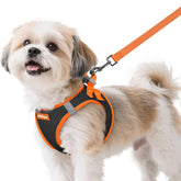 Rabbitgoo arnés para perro pequeño con malla transpirable, ideal para paseos diarios.