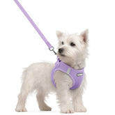 Arnés Rabbitgoo para perro pequeño con paso de entrada, cómodo y fácil de usar.