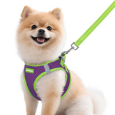 Arnés Rabbitgoo para perros pequeños, enfoque frontal, visibilidad mejorada en paseos nocturnos.