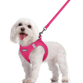 Arnés Rabbitgoo para perro pequeño en rosa, paso a entrar para paseos diarios