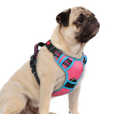 Arnés Rabbitgoo para perros pequeños con tres hebillas, ajuste rápido.