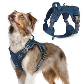 Arnés Rabbitgoo para perro con asa para control cómodo durante paseos