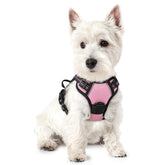 Rabbitgoo arnés para perro sin tirón rosa, vista frontal para control suave en paseos