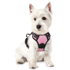 Rabbitgoo arnés para perro sin tirón rosa, vista frontal para control suave en paseos