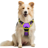 Arnés rabbitgoo para perro, vista frontal, reduce tirones durante paseos diarios.
