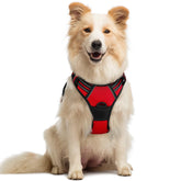 Rabbitgoo arnés para perro con dos anillos para control seguro en paseos.