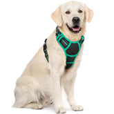 Arnés Rabbitgoo para perro sin tirones, enfoque frontal para control suave.