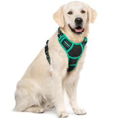 Arnés Rabbitgoo para perro sin tirones, enfoque frontal para control suave.
