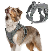 Rabbitgoo arnés táctico para perro, frente, control estable durante el entrenamiento.