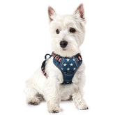 Arnes Rabbitgoo para perros pequeños, enfoque en talla extra-pequena, cómodo y seguro.