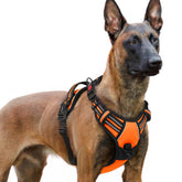 Arnés Rabbitgoo para perros grandes, sin tirones, talla XL, color naranja, paseo estable.