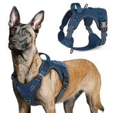 Arnés rabbitgoo para perro grande en azul con asa para mayor control durante paseos