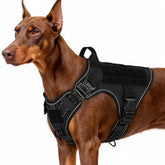 Rabbitgoo arnes tactico para perro grande, frente clip para control sin tirar durante paseos.