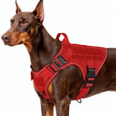 Arnés táctico Rabbitgoo para perro grande con control frontal sin tirones