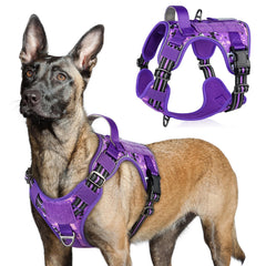 Arnés Rabbitgoo táctico para perros grandes, vista general y ajuste cómodo