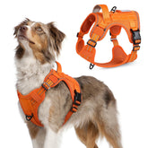 Arnés táctico Rabbitgoo para perro mediano con asa y MOLLE, control seguro durante paseos.
