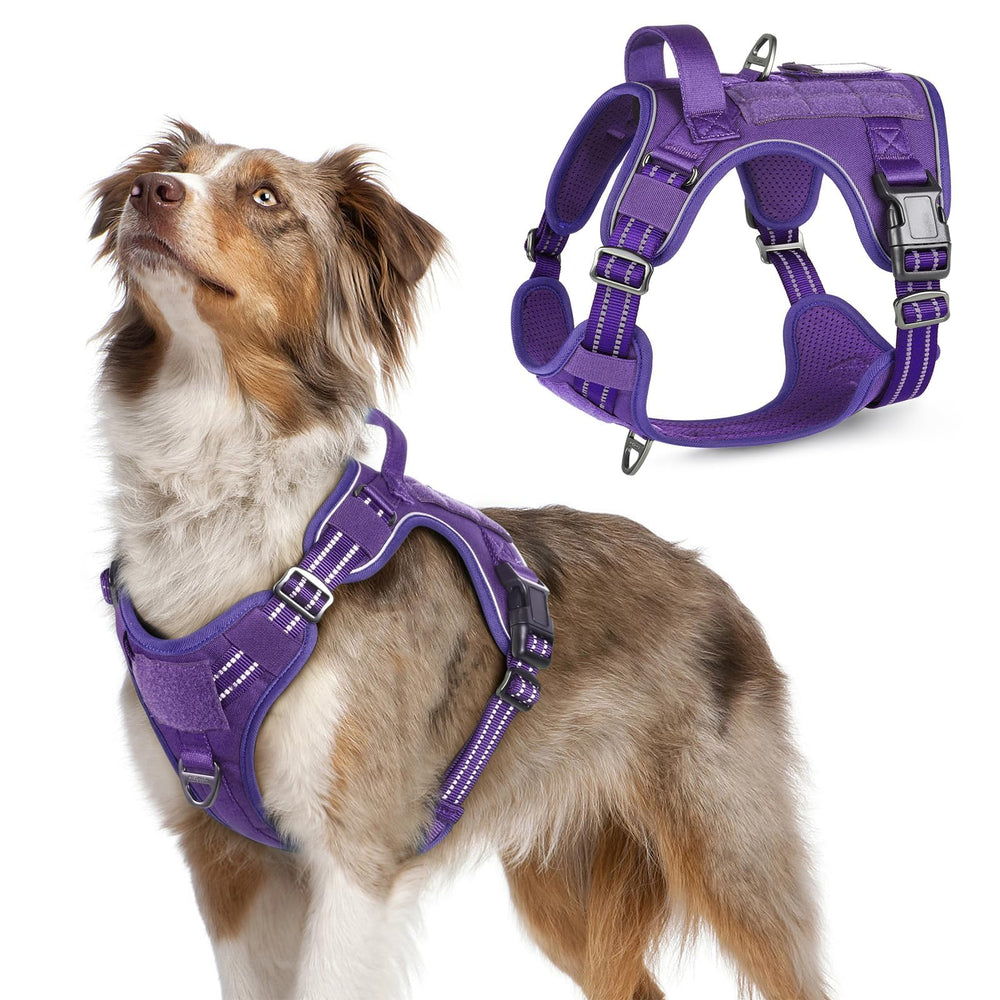 Rabbitgoo arnés táctico para perro mediano con asa reforzada para control seguro.