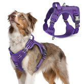 Rabbitgoo arnés táctico para perro mediano con asa reforzada para control seguro.