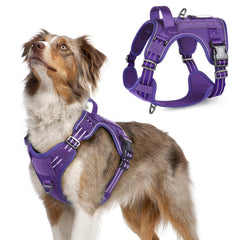 Rabbitgoo arnés táctico para perro mediano con asa reforzada para control seguro.