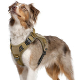 Rabbitgoo arnés táctico para perro mediano, frente, control cómodo.