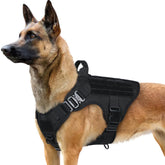 Arnés rabbitgoo con MOLLE lateral para accesorios y equipo