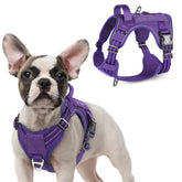 Arnés táctico rabbitgoo para perro pequeño con ajuste de cuatro puntos para adaptación cómoda