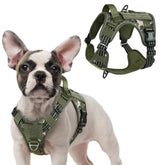Arnés rabbitgoo para perro pequeño con asa para control cercano
