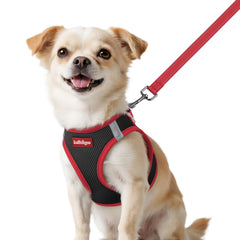 rabbitgoo arnés para perros XXS, vista frontal, comodidad y seguridad en paseos diarios.