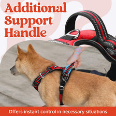 Arnés rabbitgoo con asa superior amplia para control adicional.