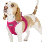 arnés rabbitgoo rose red malla suave para paseo cómodo.