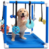 Race&Herd Puppy Play Gym: estructura azul para juego interactivo seguro en casa