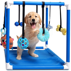 Race&Herd Puppy Play Gym: estructura azul para juego interactivo seguro en casa