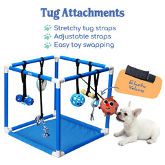 Race&Herd Puppy Play Gym: obstaculos para cachorros que promueven movimiento y reto mental