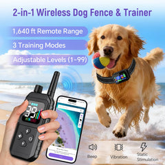 RAINLEOTI Control remoto facilita entrenamiento práctico a distancia